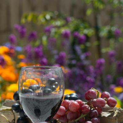 Các ly phù hợp để uống rượu vang 5